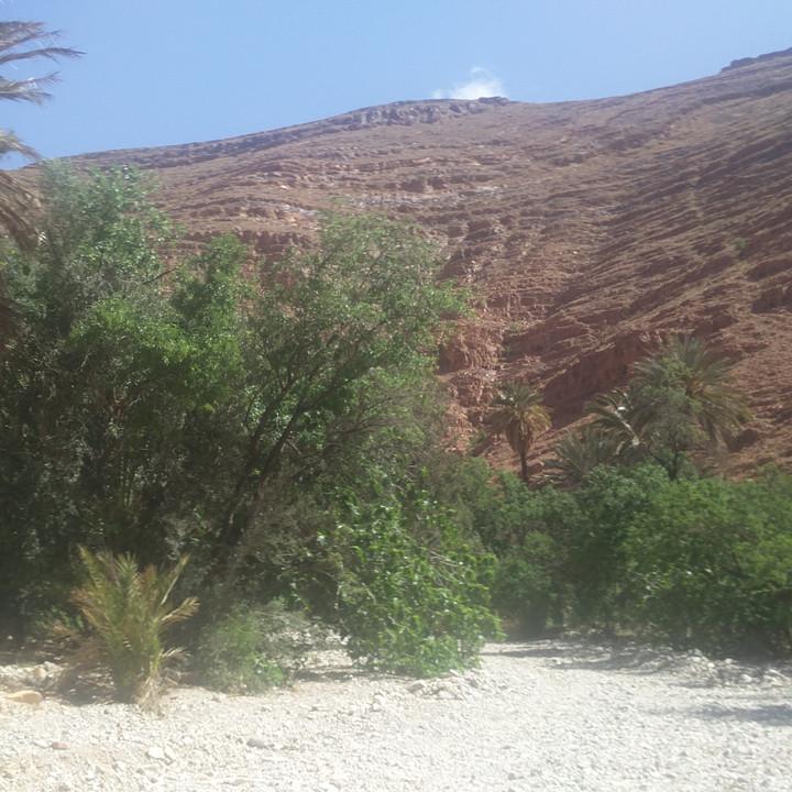 IMG_20190327_104153.jpg