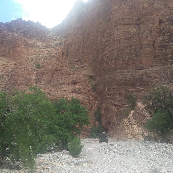 IMG_20190327_111956.jpg