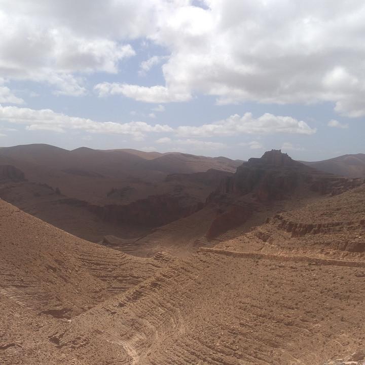 IMG_20190327_113548.jpg