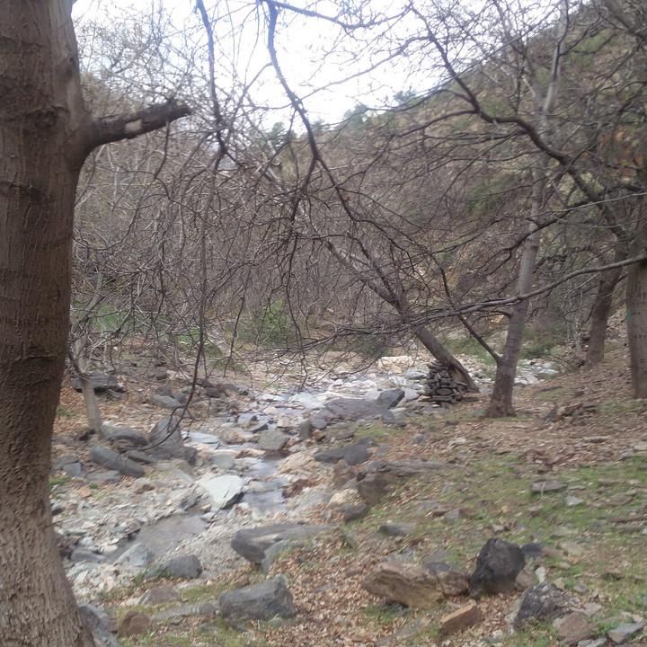 IMG_20190328_150811.jpg