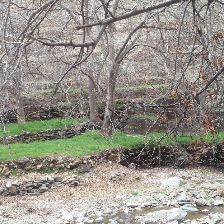 IMG_20190328_150815.jpg