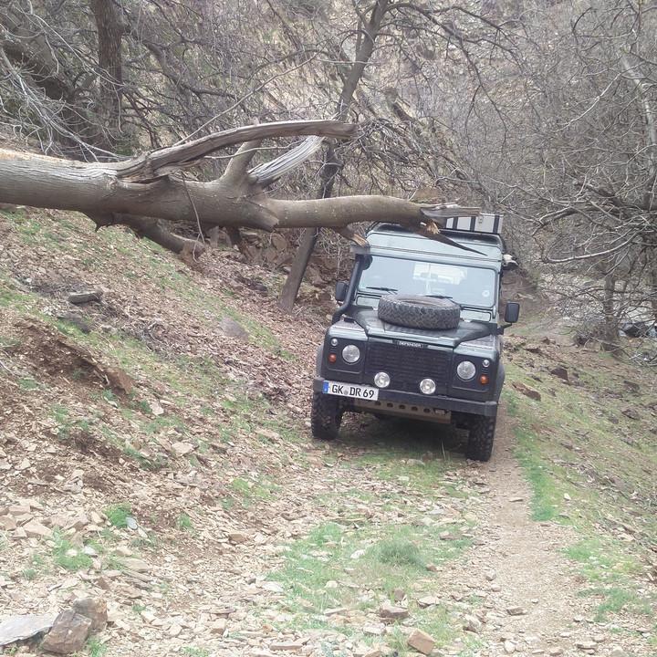 IMG_20190328_150911.jpg