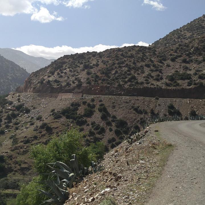 IMG_20190329_104442.jpg
