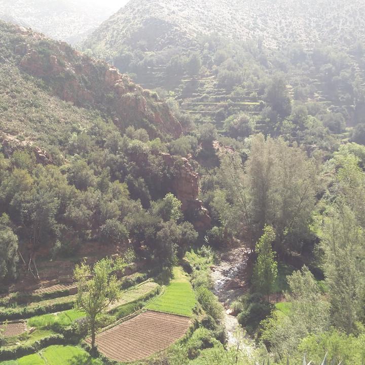 IMG_20190329_104425.jpg