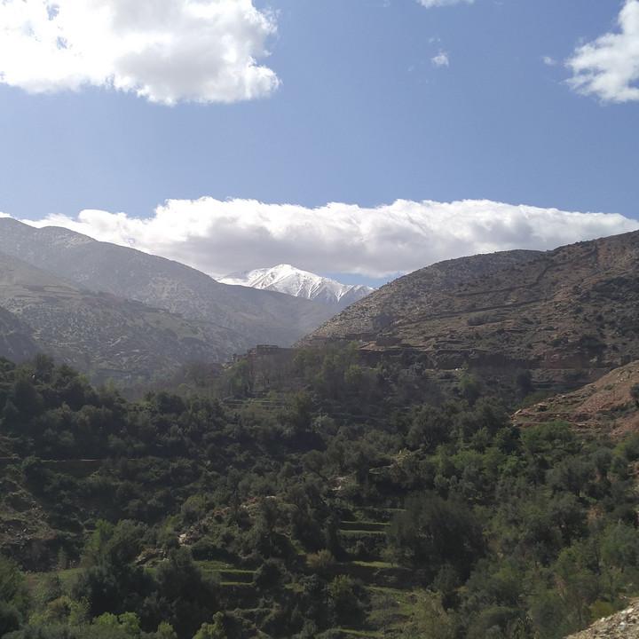 IMG_20190329_104757.jpg