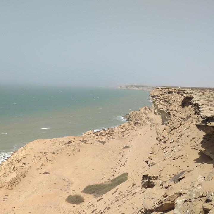 IMG_20190322_142238.jpg