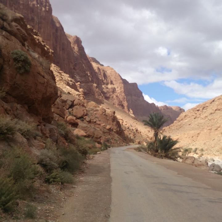IMG_20190331_161310.jpg