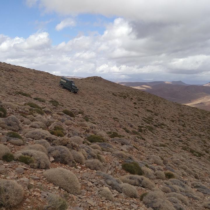 IMG_20190401_150117.jpg