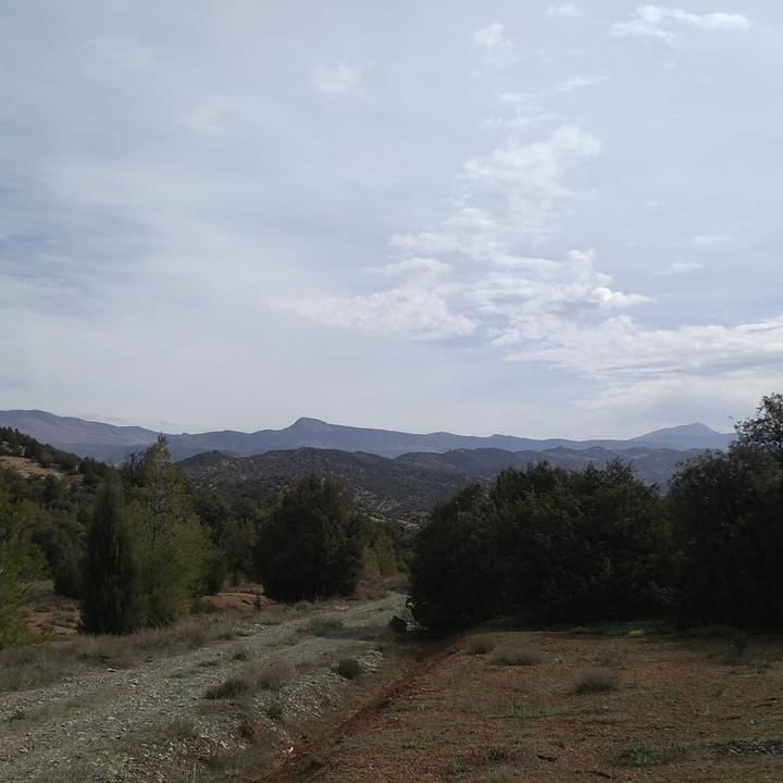 IMG_20190402_103027.jpg
