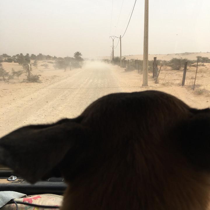 0E466756-1730-4576-9EAC-D46D6D02CEDE.jpeg