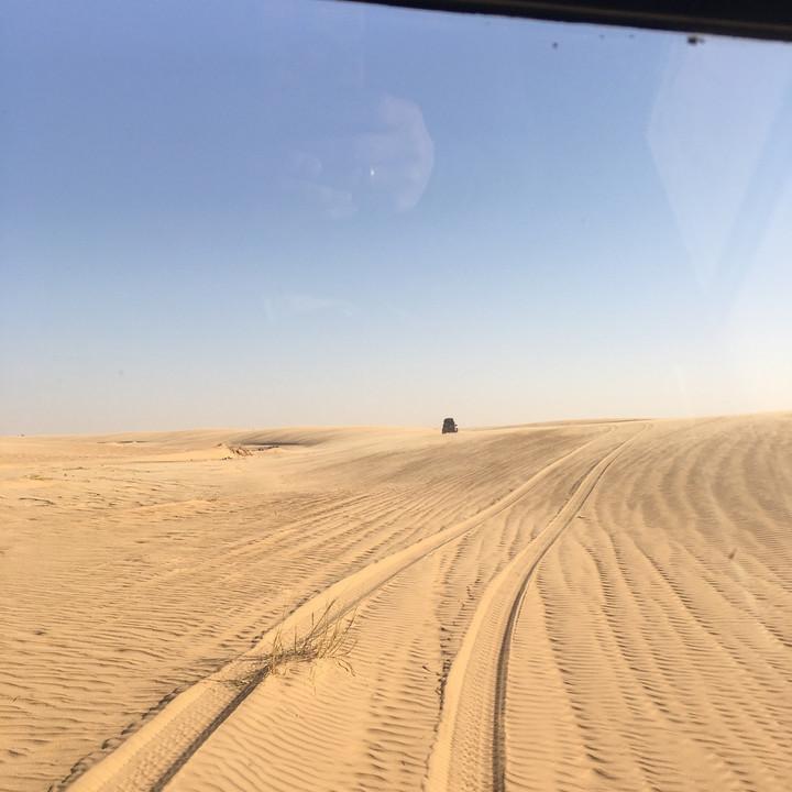44243708-7566-4ACB-B893-F4BADBFA923D.jpeg