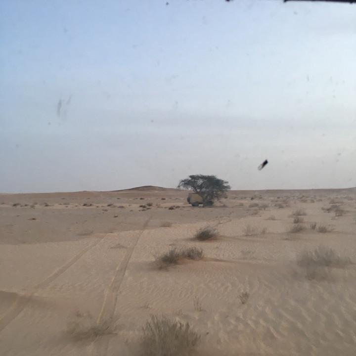 63F7355C-B079-4D9C-9157-EE738960C1DD.jpeg