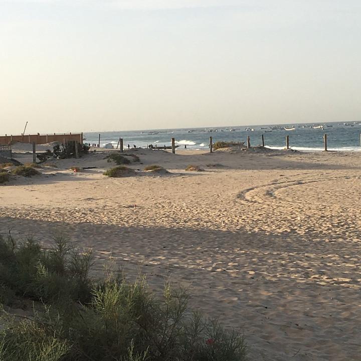 B0427784-BE02-4A02-B539-58082D4FD967.jpeg
