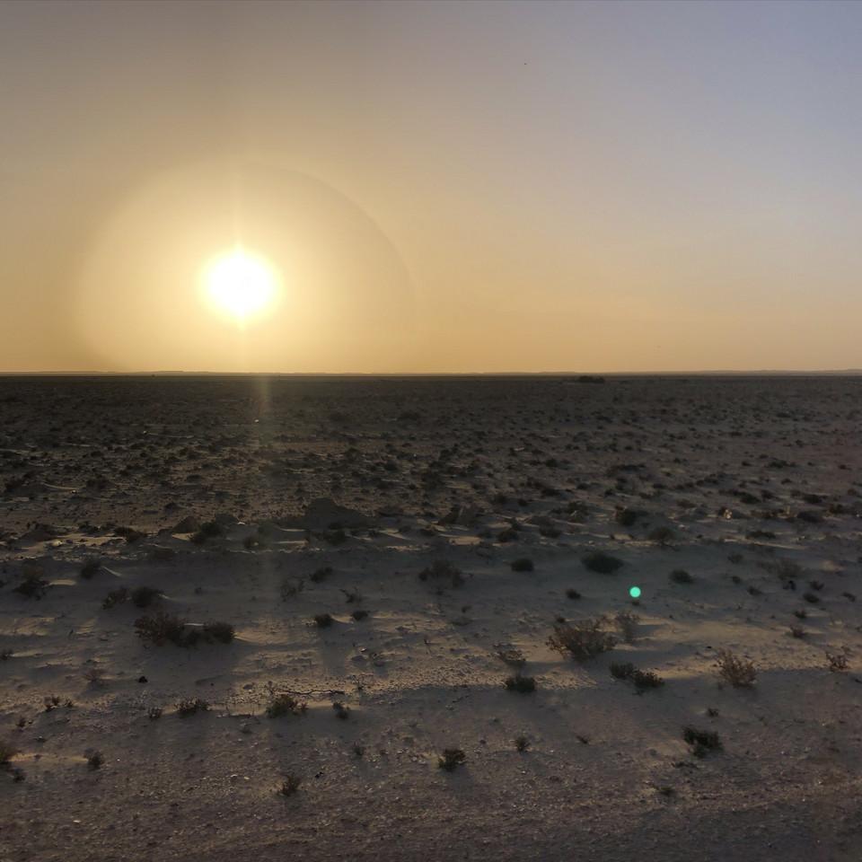 B78FB429-571D-4734-8B01-3EBBBB6B6730.jpeg