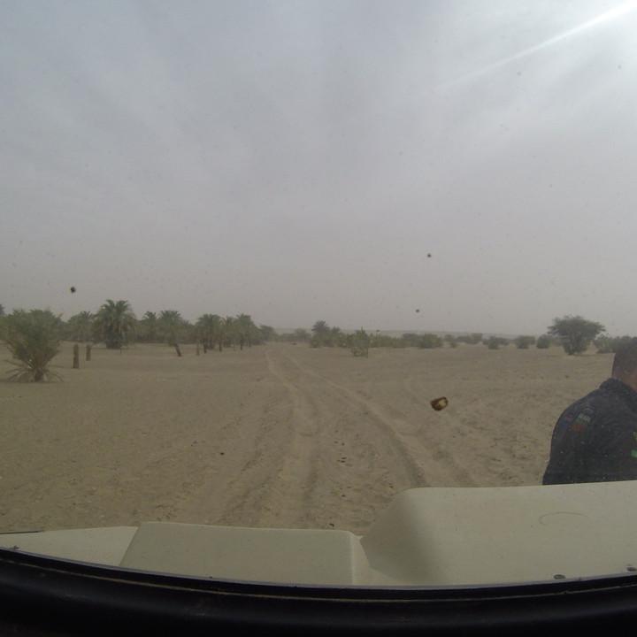 G0025604.JPG