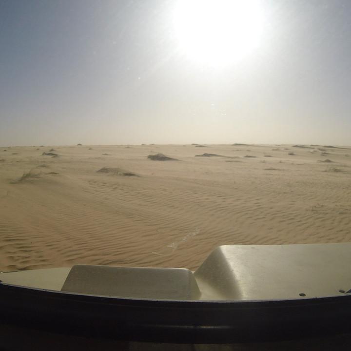 G0035414.JPG