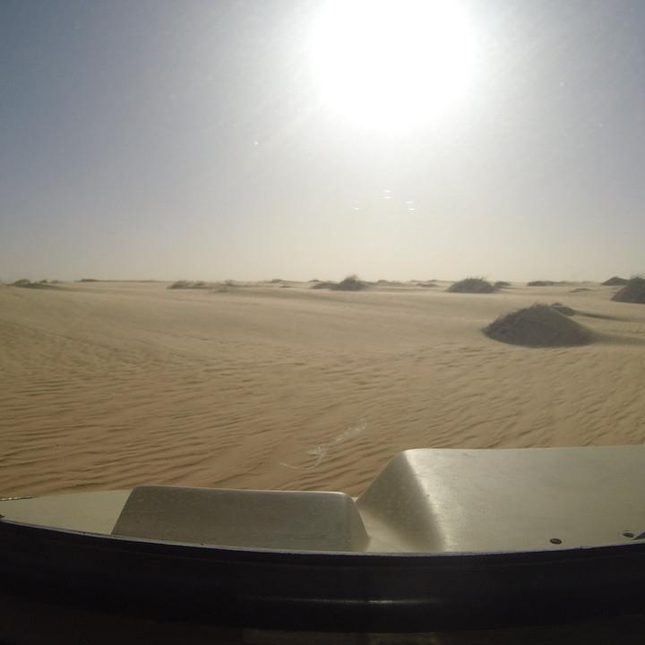 G0035417.JPG