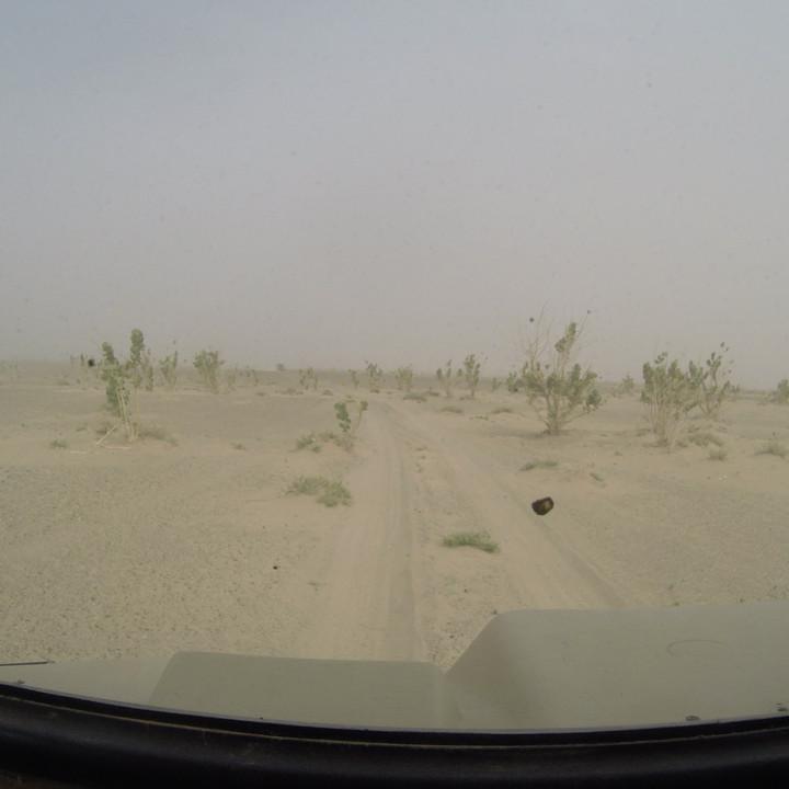 G0045610.JPG