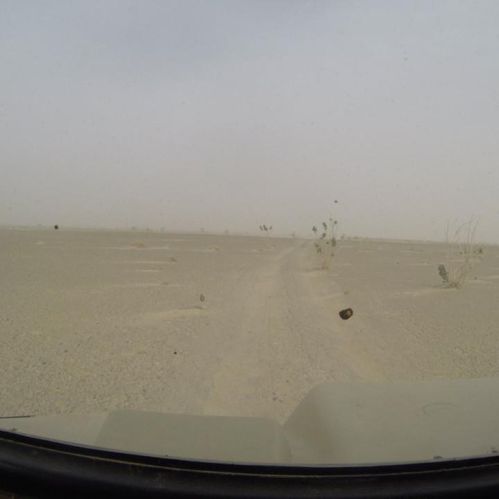 G0045611.JPG
