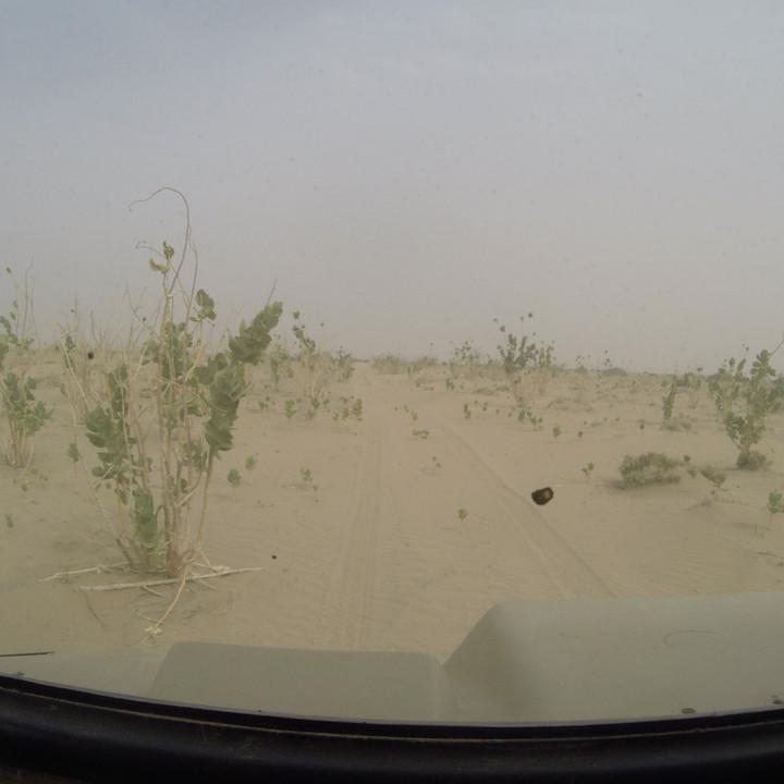 G0045612.JPG