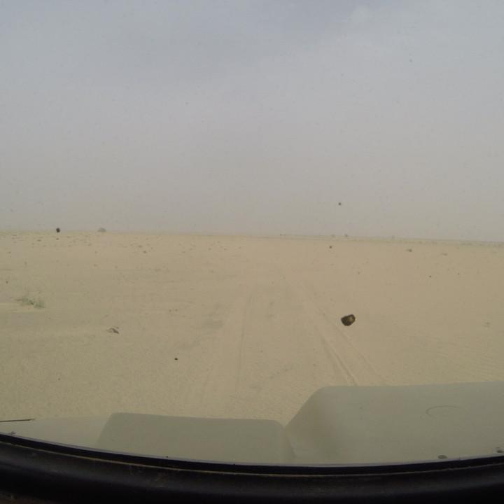 G0045613.JPG