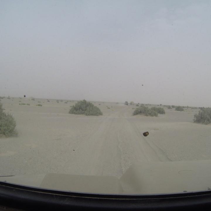 G0045615.JPG
