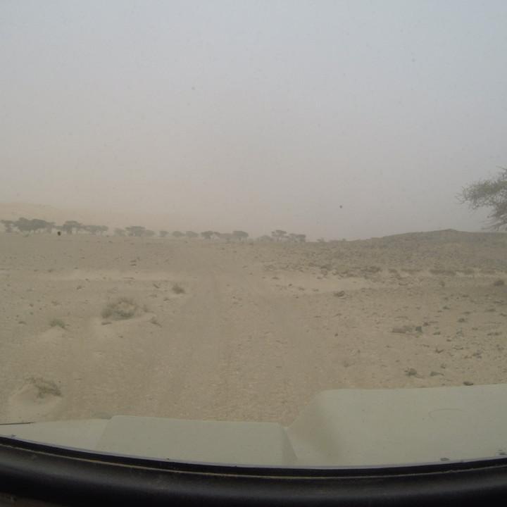 G0085632.JPG