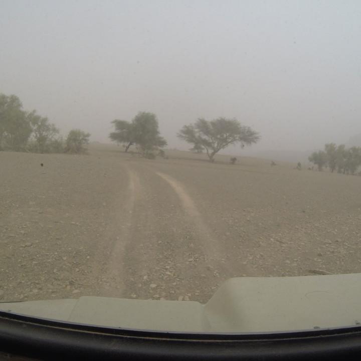 G0095635.JPG