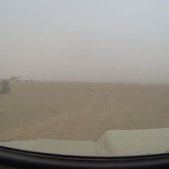 G0095637.JPG