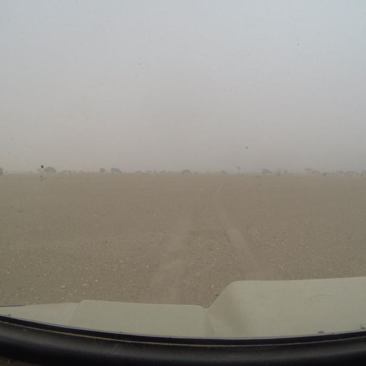G0095638.JPG