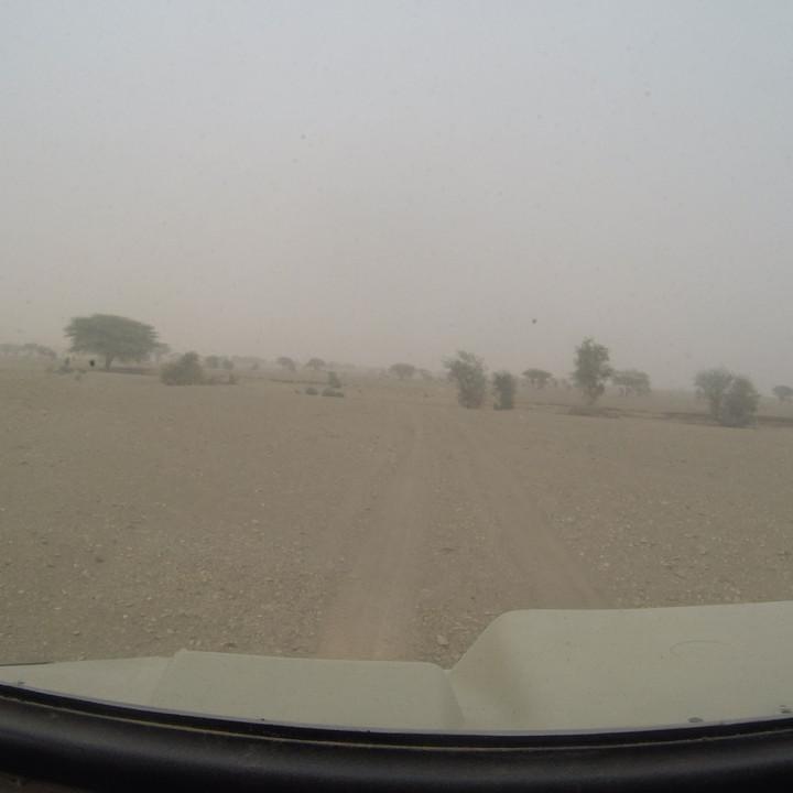 G0095639.JPG