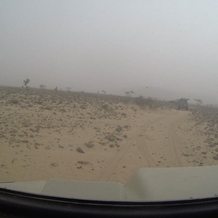 G0105641.JPG