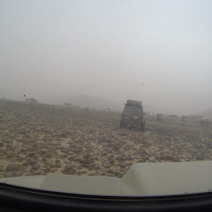 G0105642.JPG