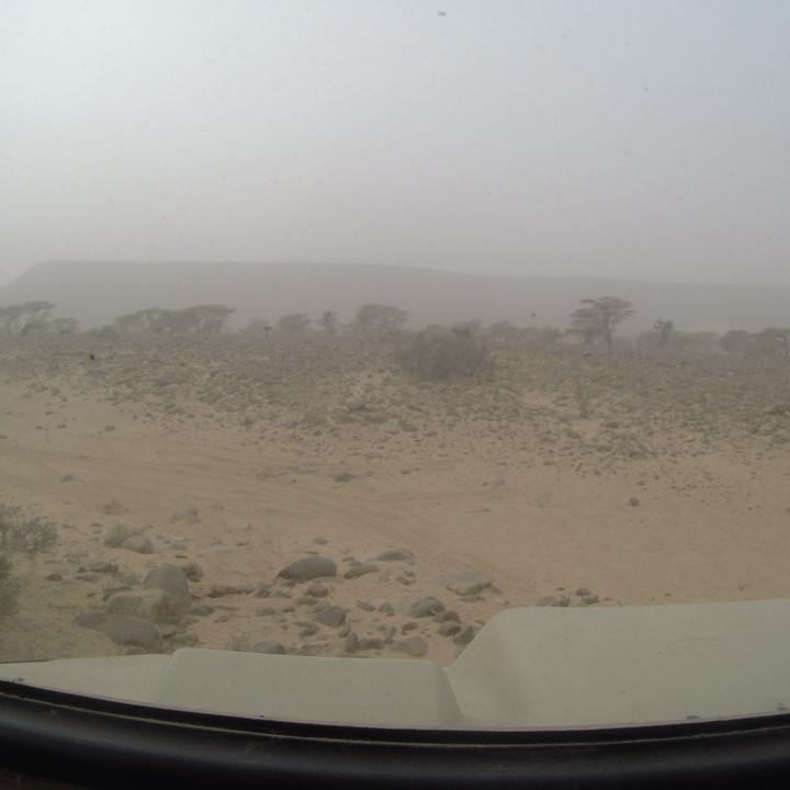 G0105644.JPG