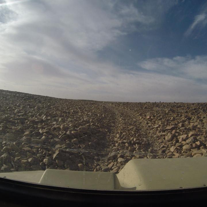 G0115648.JPG