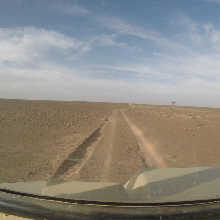 G0115650.JPG