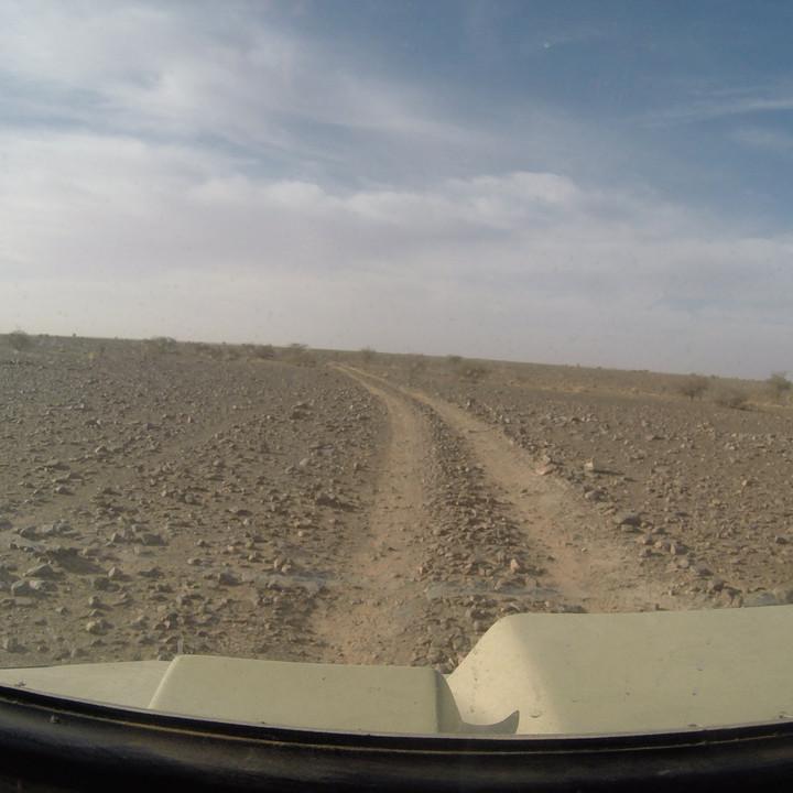 G0115658.JPG