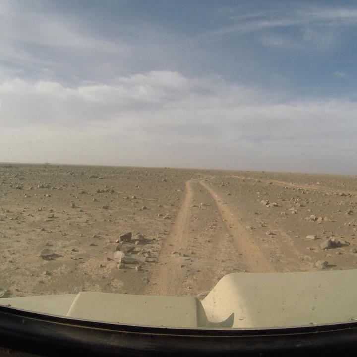 G0115660.JPG