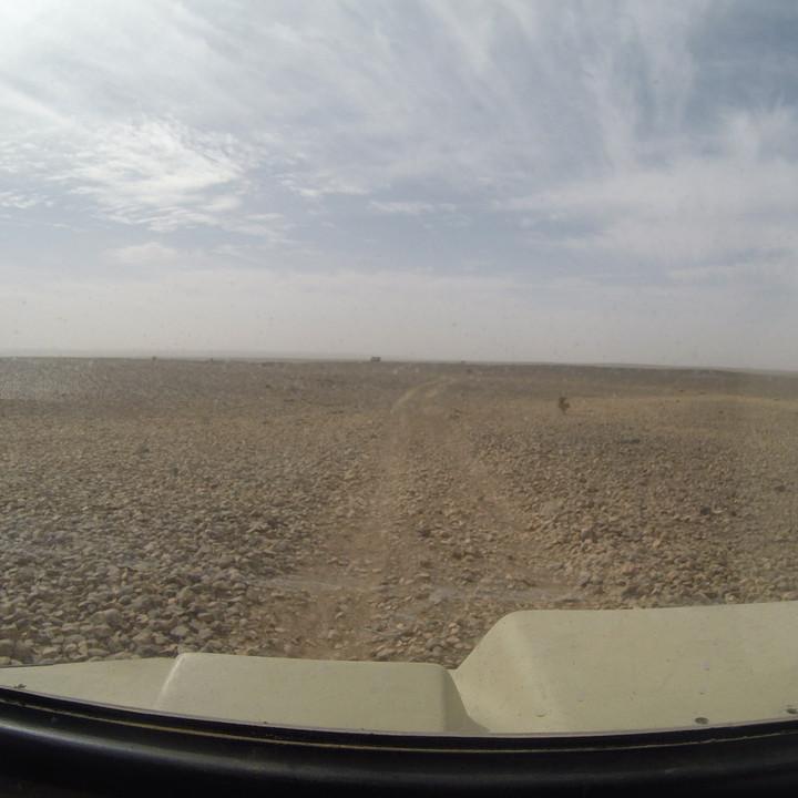 G0125681.JPG