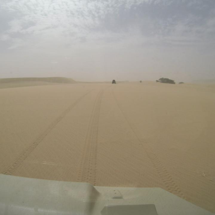 G0155705.JPG
