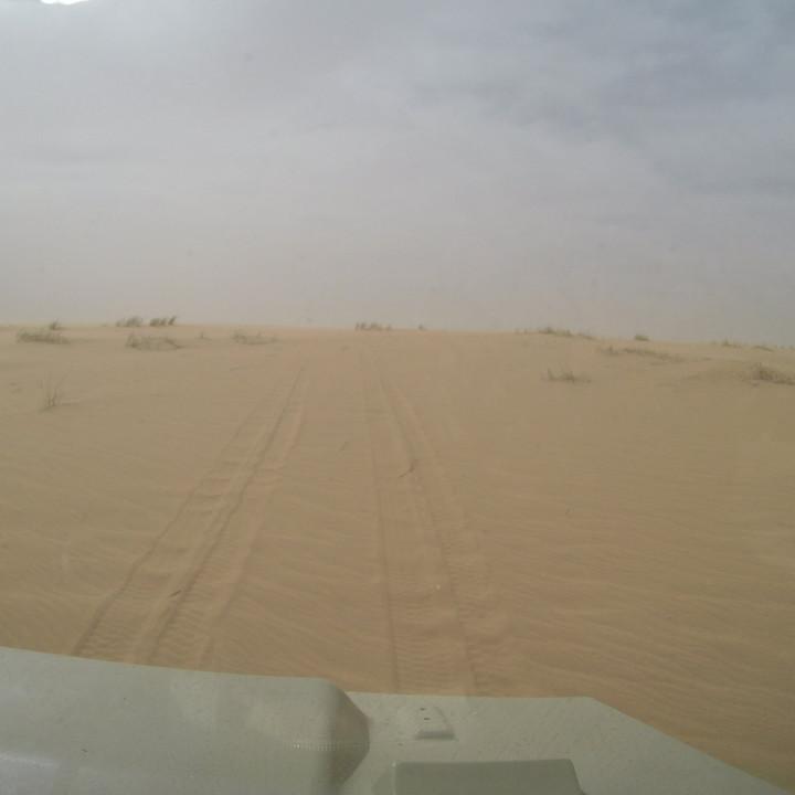G0175738.JPG