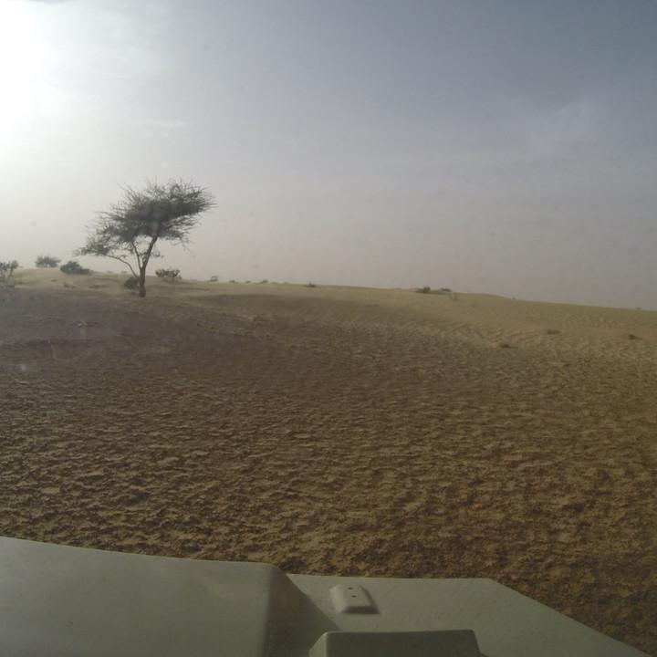 G0185741.JPG