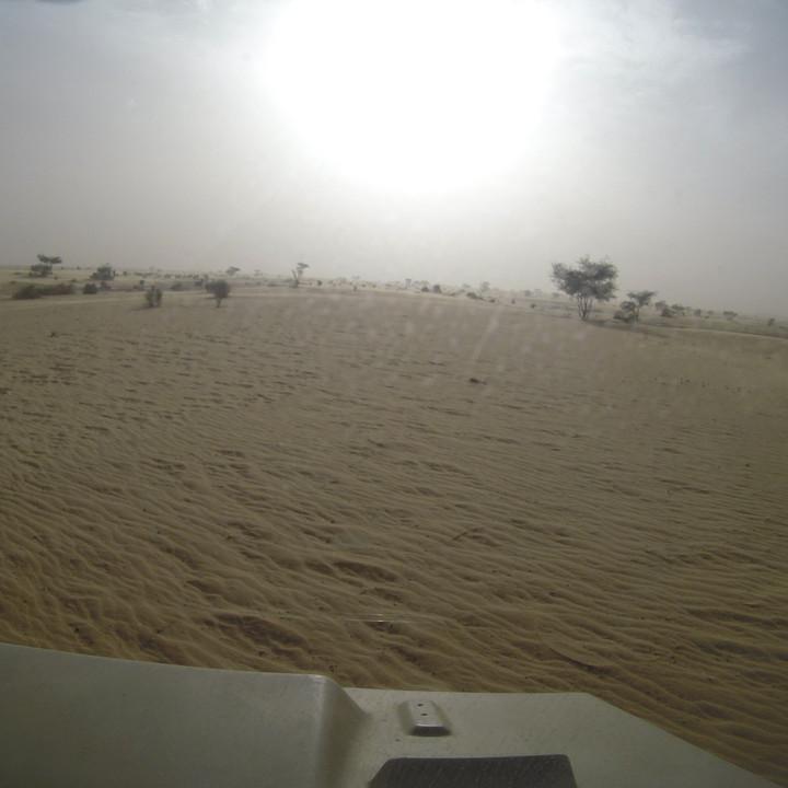 G0195746.JPG