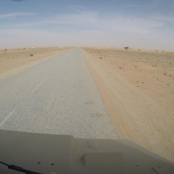 G0295793.JPG