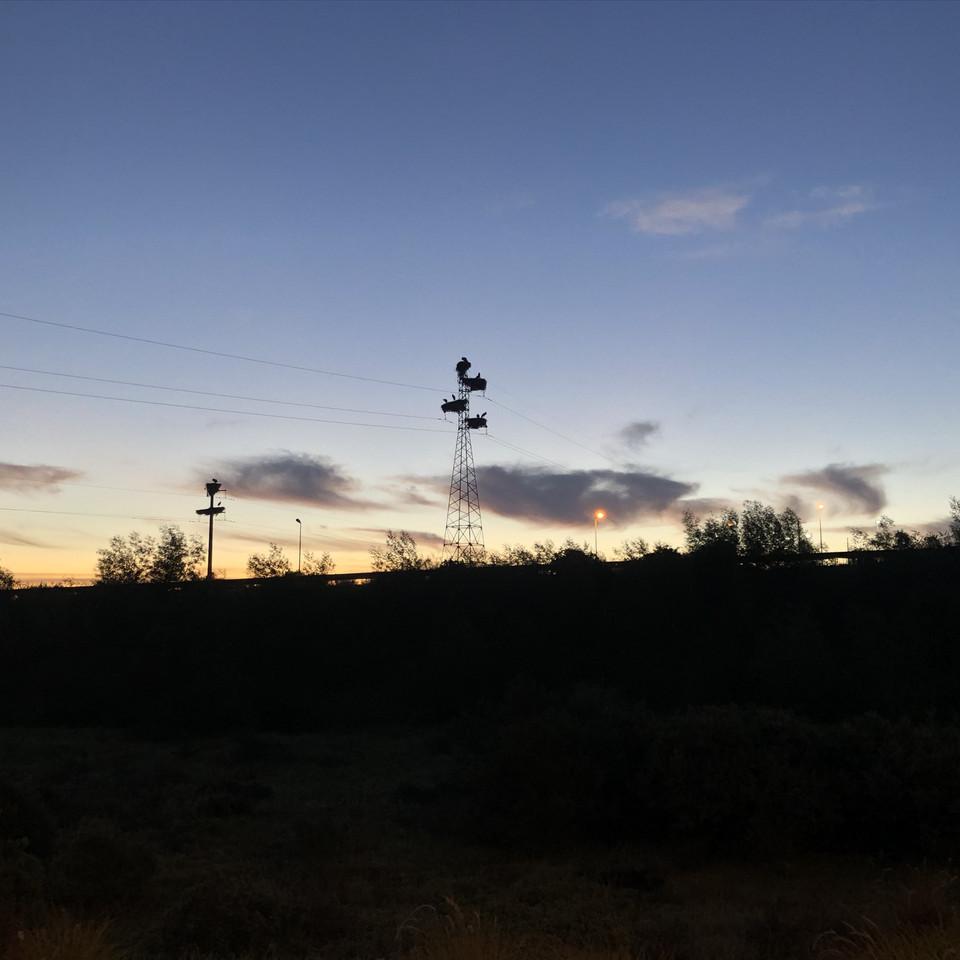 EE3CEC6F-CEFD-430F-A9DC-7635D32A8F2A.jpeg