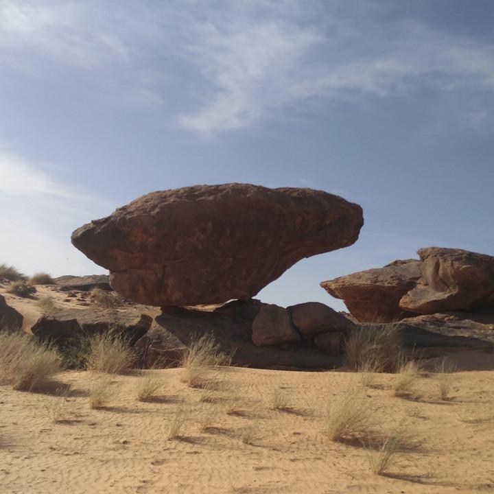 IMG_20200108_091540.jpg