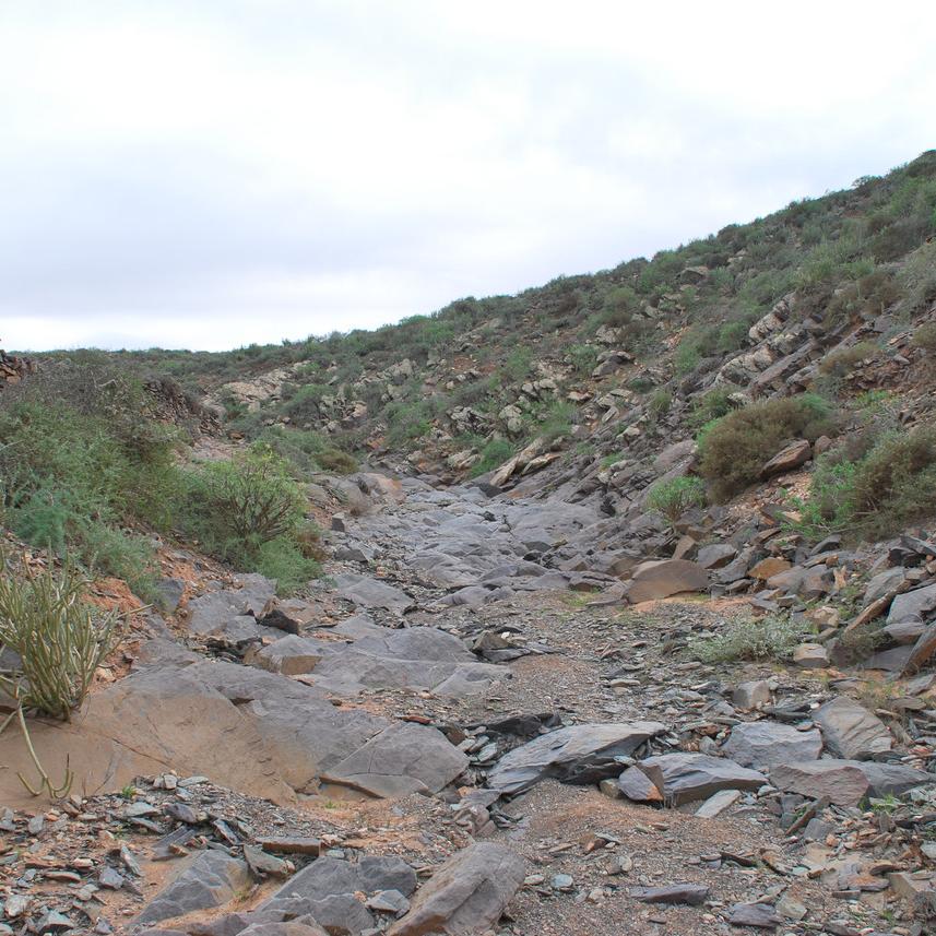 DSC_0206.JPG