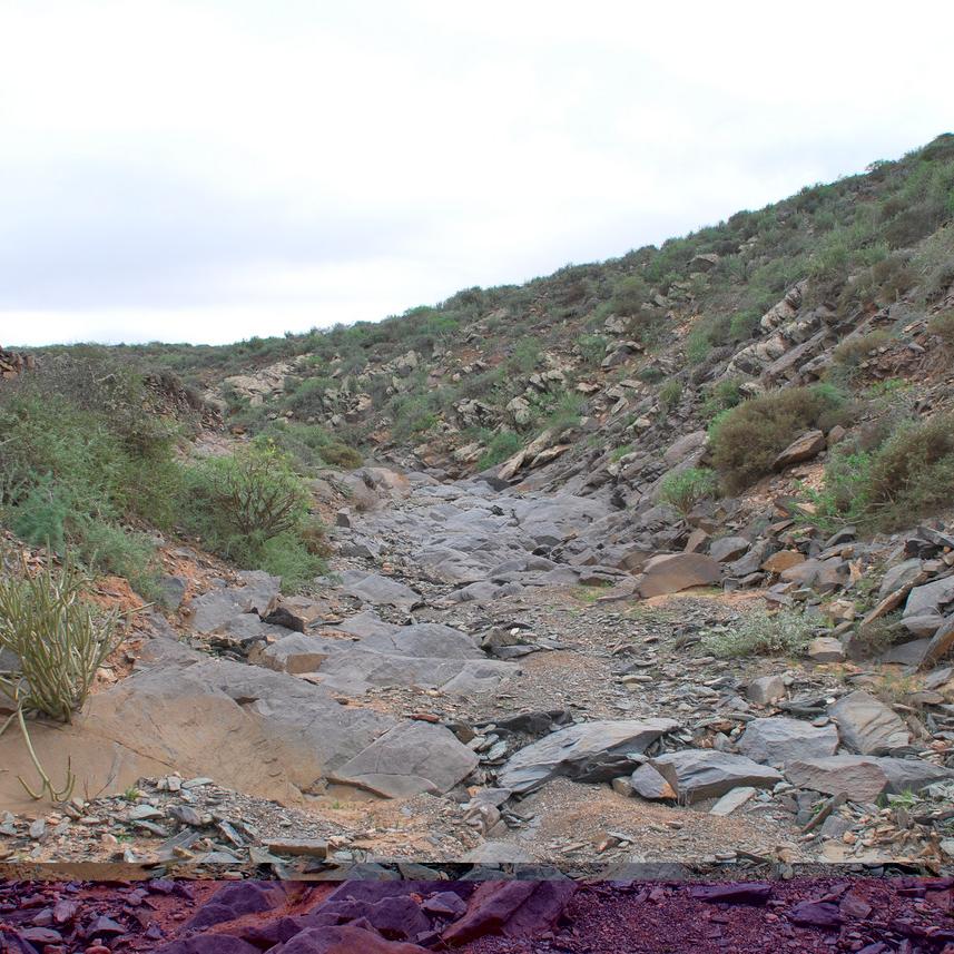 DSC_0207.JPG
