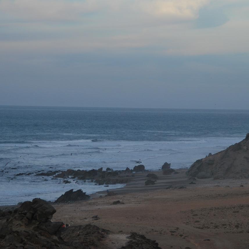 DSC_0217.JPG
