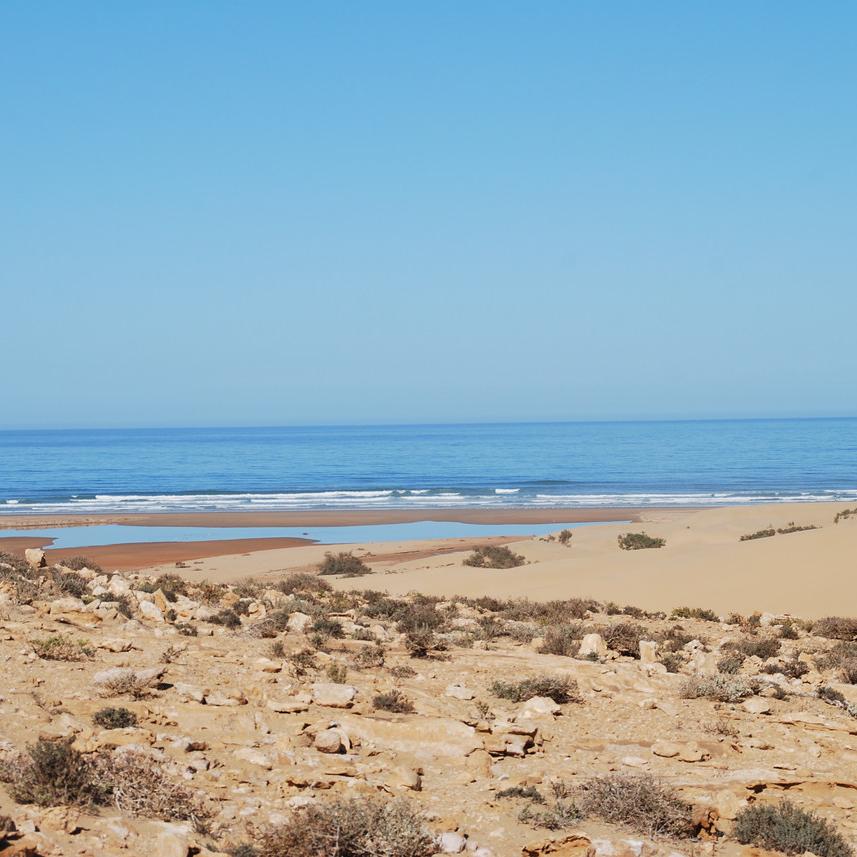 DSC_0283.JPG